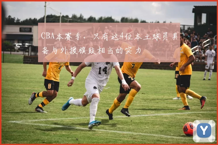 CBA本赛季,只有这4位本土球员具备与外援旗鼓相当的实力