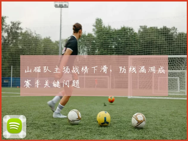 山猫队主场战绩下滑，防线漏洞成赛季关键问题