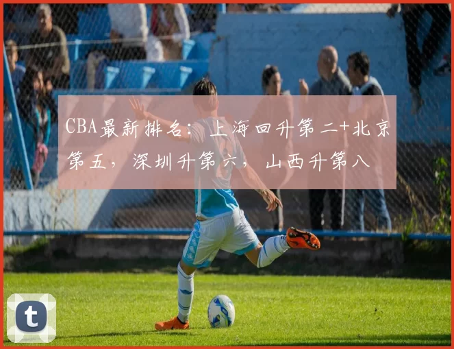 CBA最新排名:上海回升第二+北京第五,深圳升第六,山西升第八